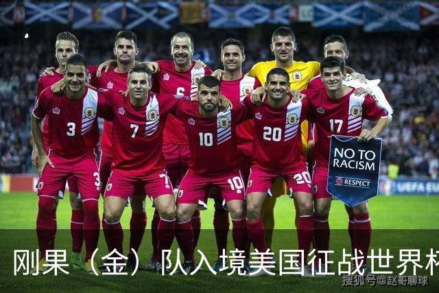 刚果（金）队入境美国征战世界杯